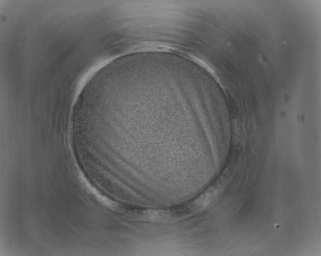 X0000070371379200606231636