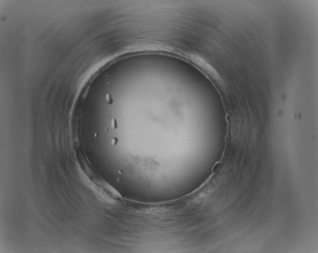 X0000070371380200606231636