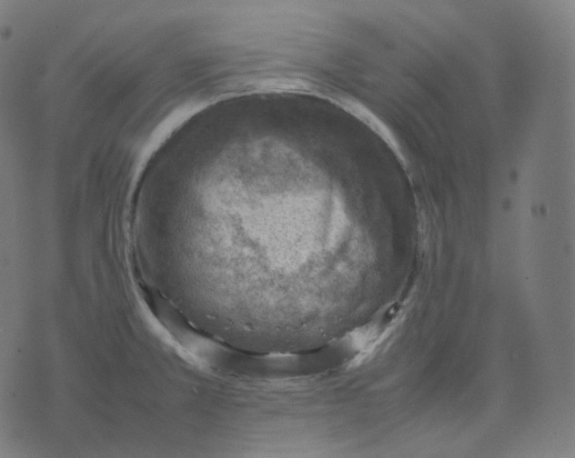 X0000070371381200606231636