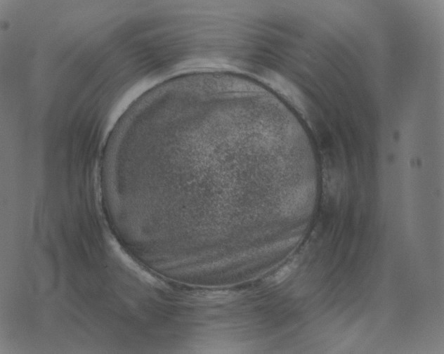 X0000070371382200606231636