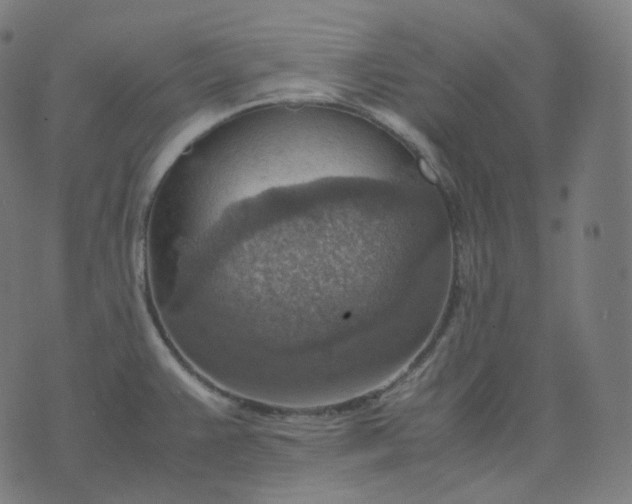 X0000070371383200606231636