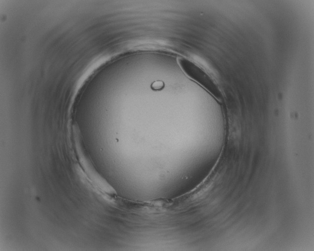 X0000070371384200606231636