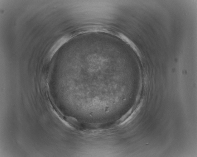 X0000070371385200606231636