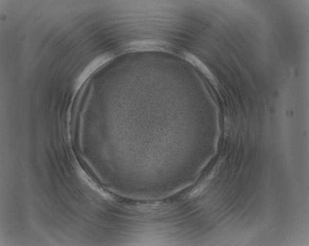 X0000070371386200606231636