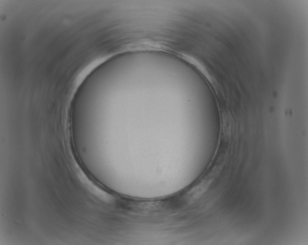 X0000070371387200606231636