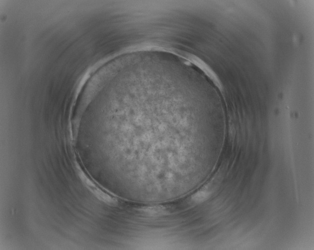 X0000070371388200606231636