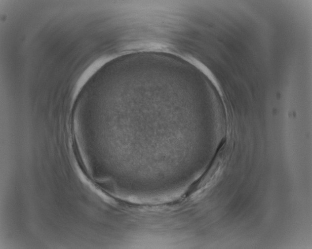 X0000070371389200606231636