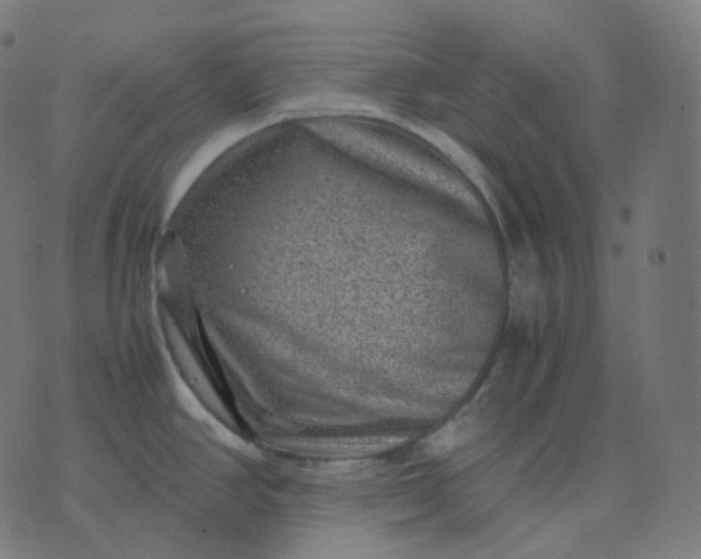 X0000070371390200606231636