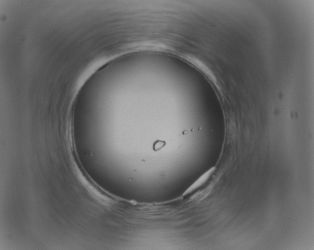 X0000070371391200606231636