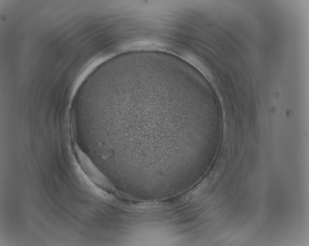 X0000070371392200606231636