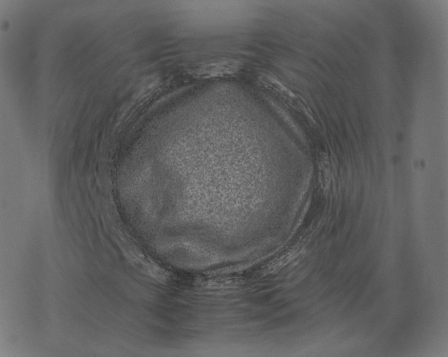 X0000070371393200606231635