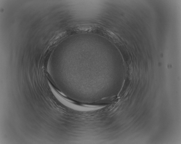 X0000070371394200606231635