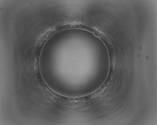 X0000070371398200606231636