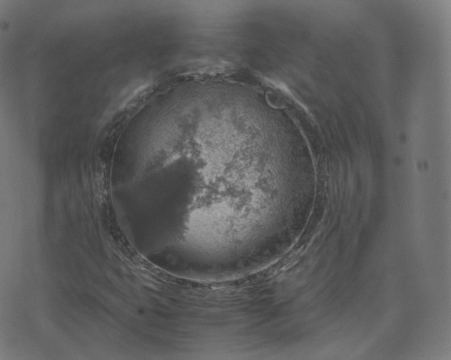 X0000070371399200606231636