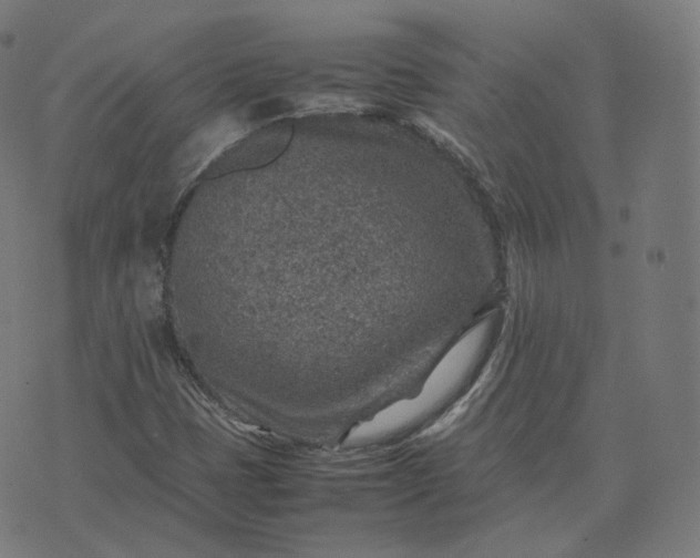 X0000070371401200606231636