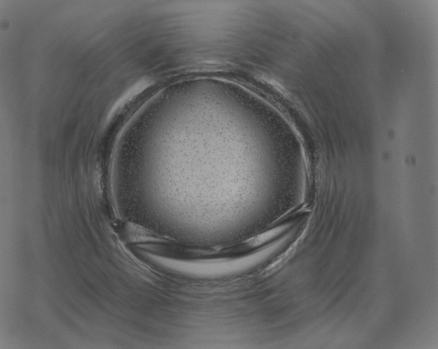 X0000070371402200606231636