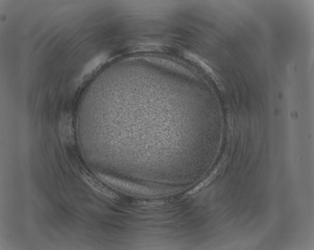 X0000070371403200606231636