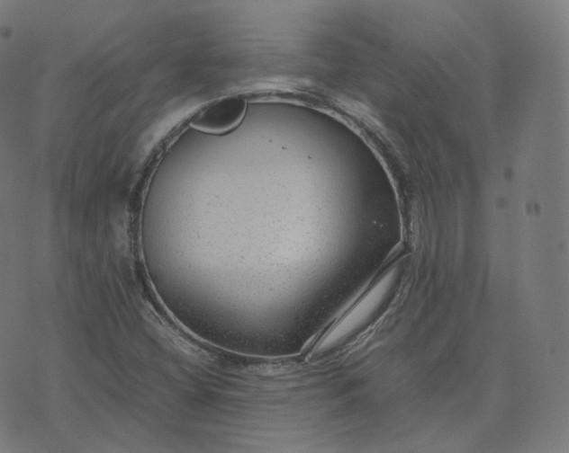 X0000070371404200606231636