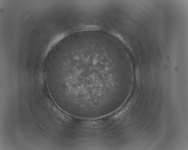 X0000070371405200606231636