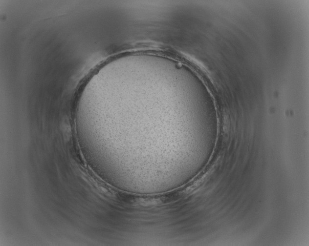 X0000070371407200606231636