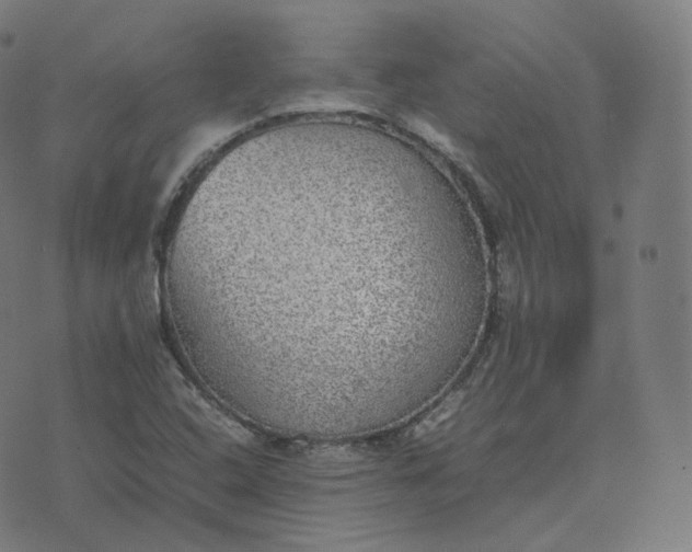 X0000070371408200606231636