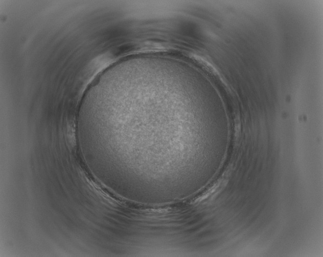 X0000070371409200606231636