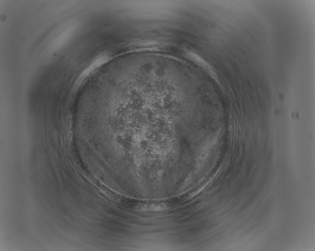 X0000070371411200606231636