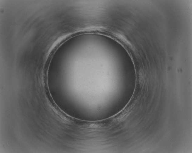 X0000070371412200606231636