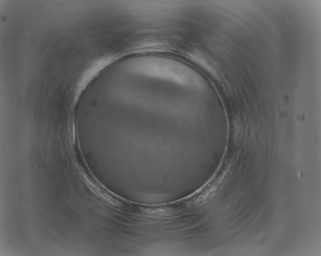 X0000070371413200606231636