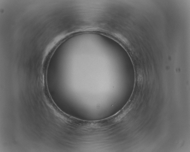 X0000070371414200606231636