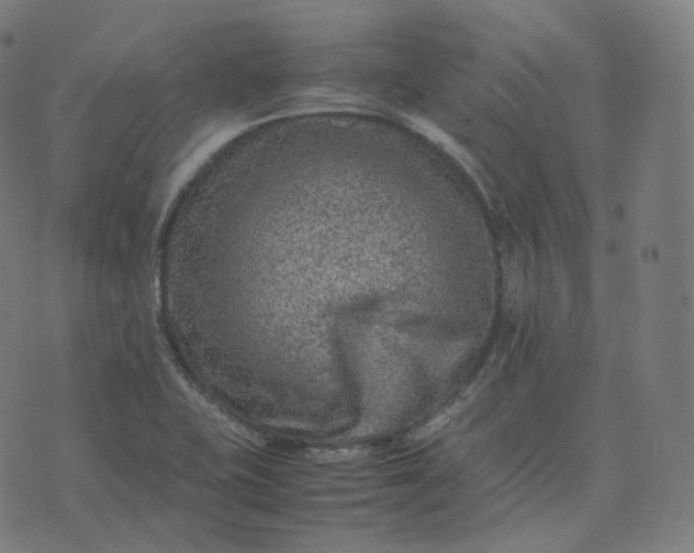 X0000070371415200606231636