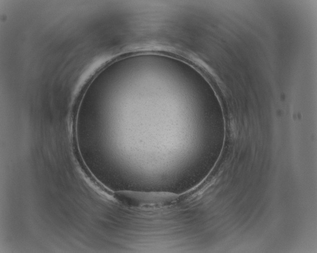 X0000070371416200606231636