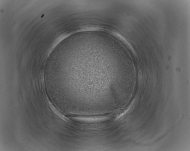 X0000070371417200606231636