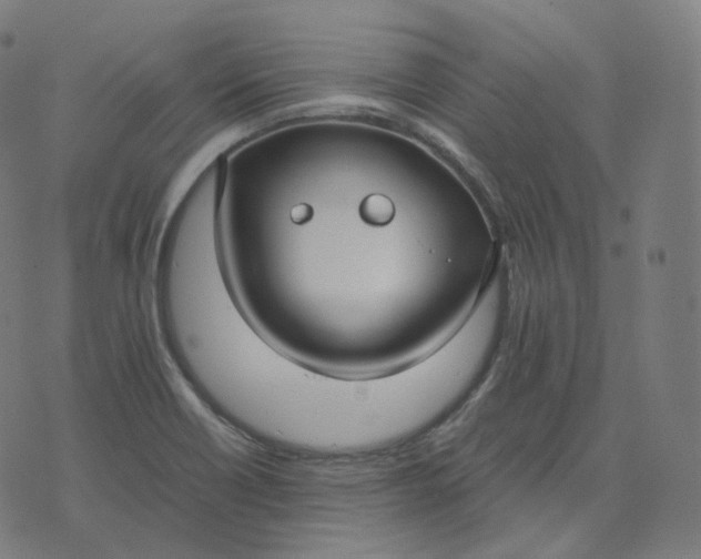 X0000070371418200606231636