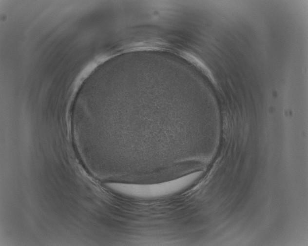 X0000070371419200606231636