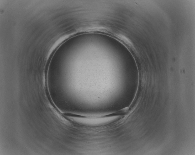 X0000070371420200606231636