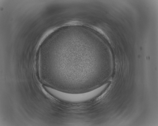 X0000070371421200606231636