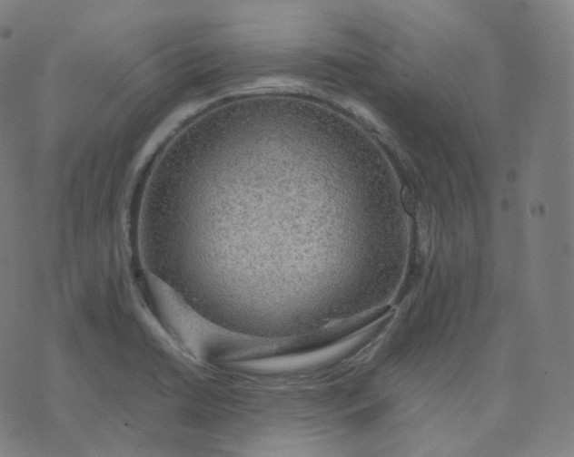 X0000070371422200606231636