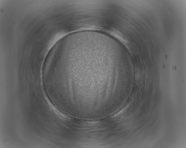 X0000070371423200606231636