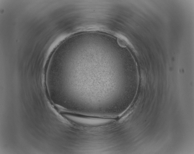 X0000070371424200606231636