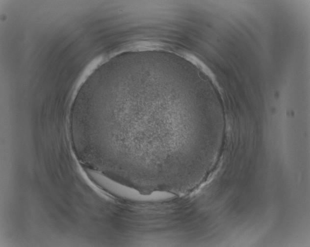 X0000070371429200606231636