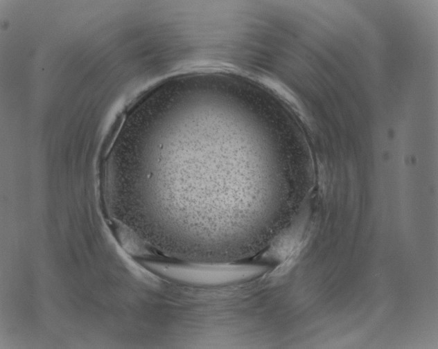 X0000070371430200606231636