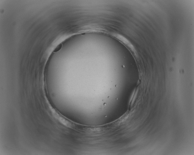 X0000070371431200606231636