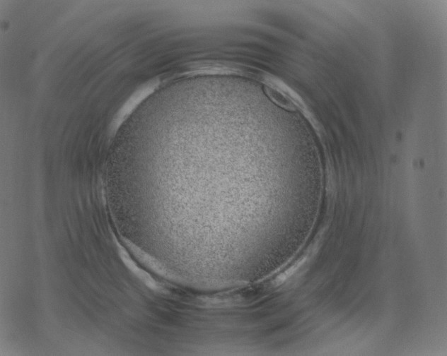 X0000070371433200606231636