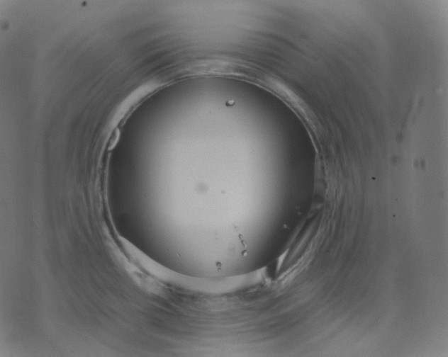 X0000070371434200606231636