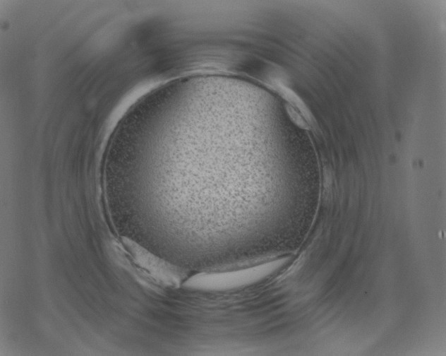 X0000070371435200606231636