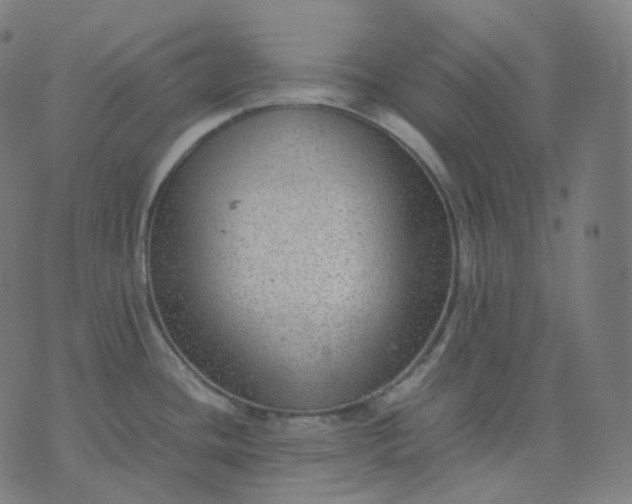 X0000070371436200606231636