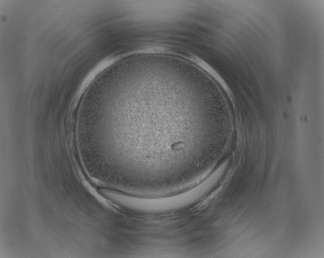 X0000070371437200606231636