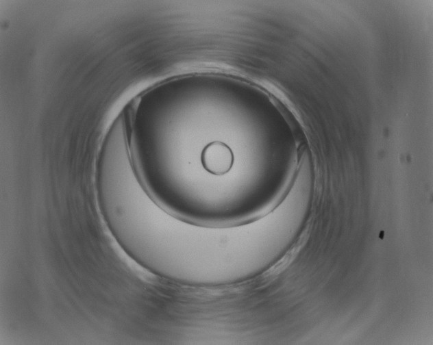 X0000070371438200606231636