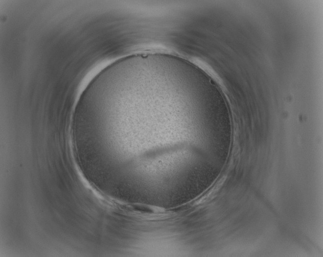 X0000070371440200606231636